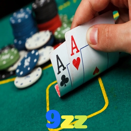 9zz Inovação Constante